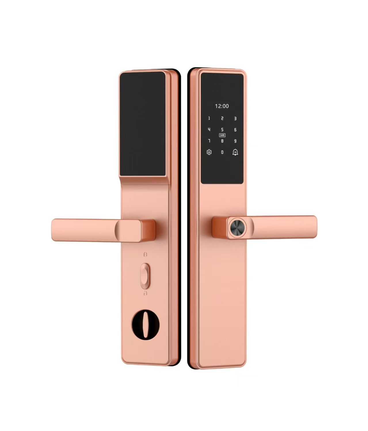 Fingerprint Smart Door Lock